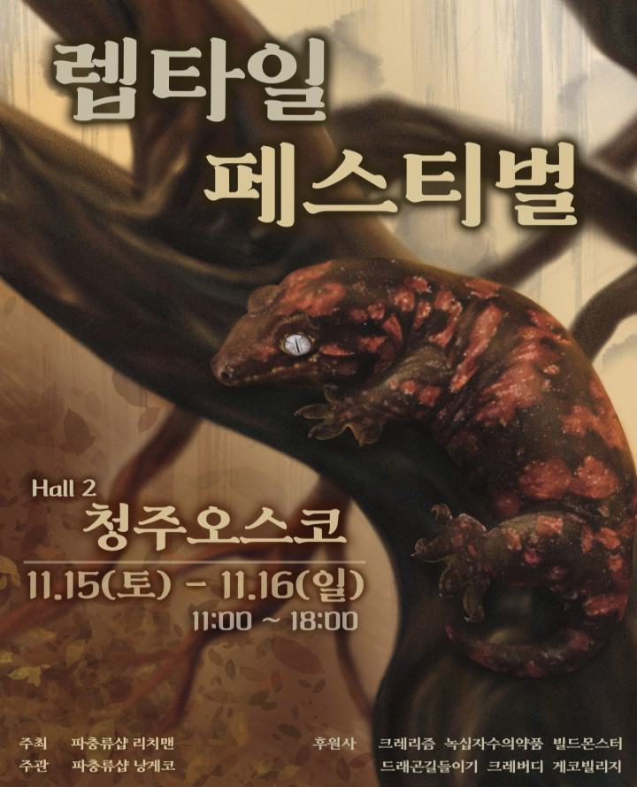 렙타일 페스티벌 포스터