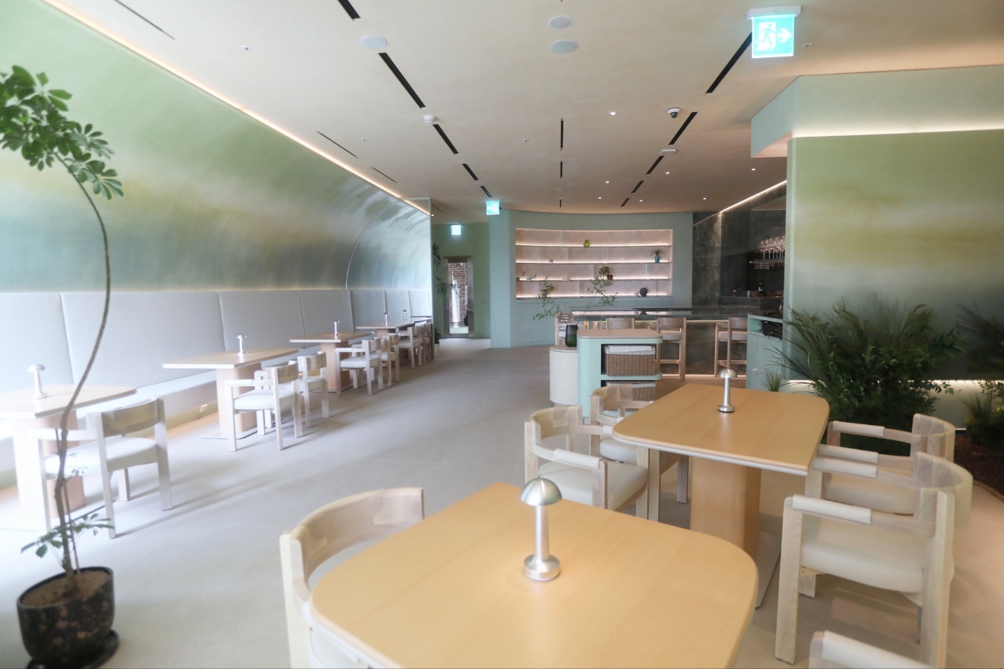 Forest Kitchen