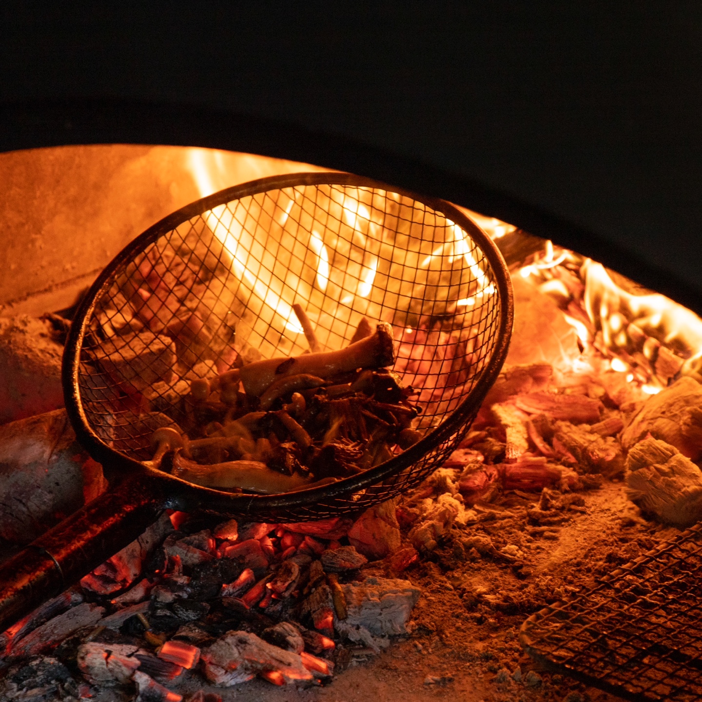 Best Steel Plates For Dinner