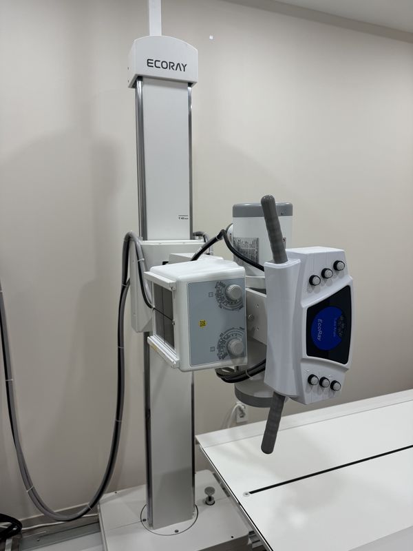 엑스레이 X-ray